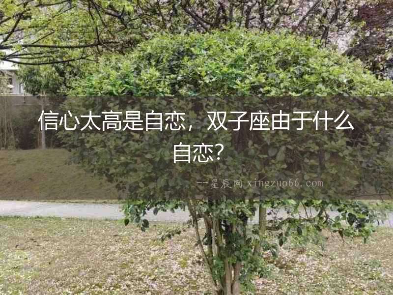信心太高是自戀，雙子座由于什么自戀？