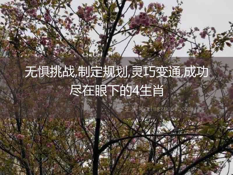 無懼挑戰,制定規劃,靈巧變通,成功盡在眼下的4生肖
