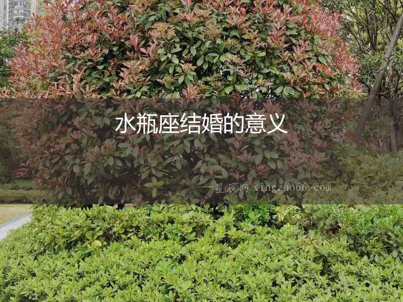 水瓶座結婚的意義