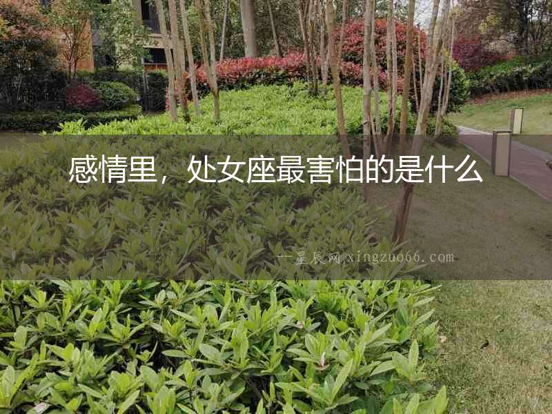 感情里，處女座最害怕的是什么
