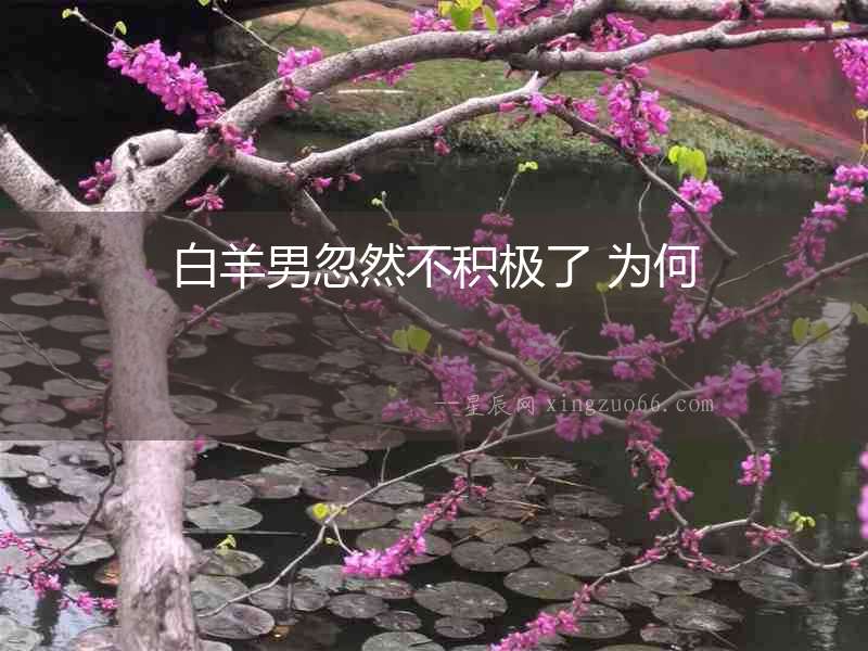 白羊男忽然不積極了 為何