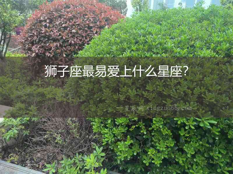 獅子座最易愛上什么星座？