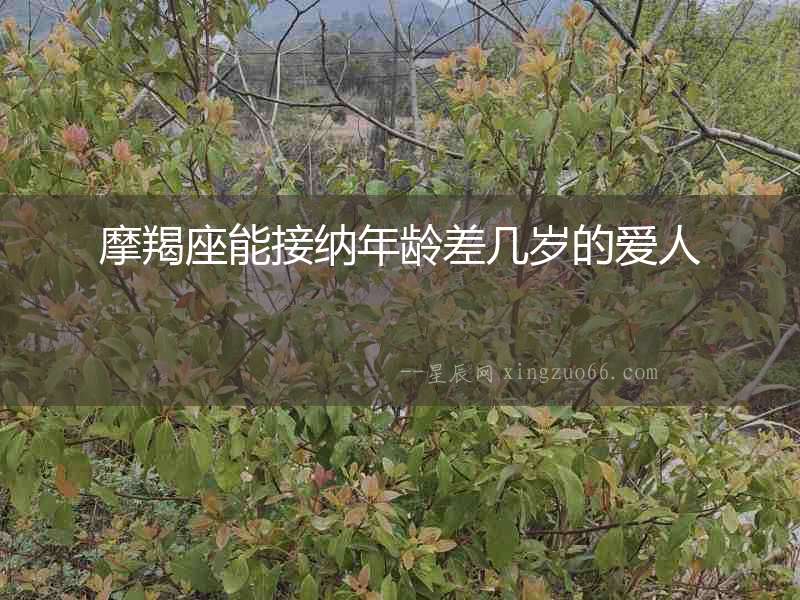摩羯座能接納年齡差幾歲的愛人