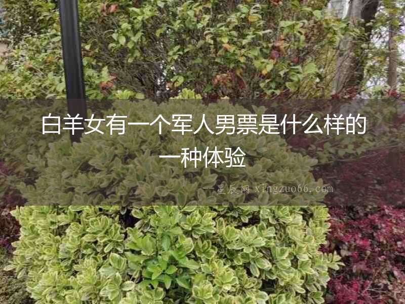 白羊女有一個軍人男票是什么樣的一種體驗