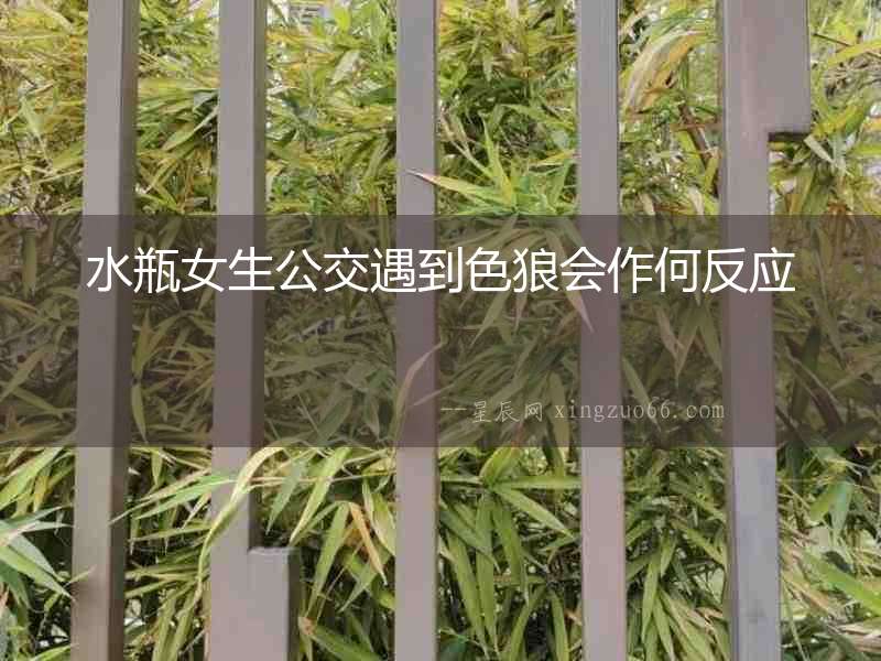 水瓶女生公交遇到色狼會作何反應