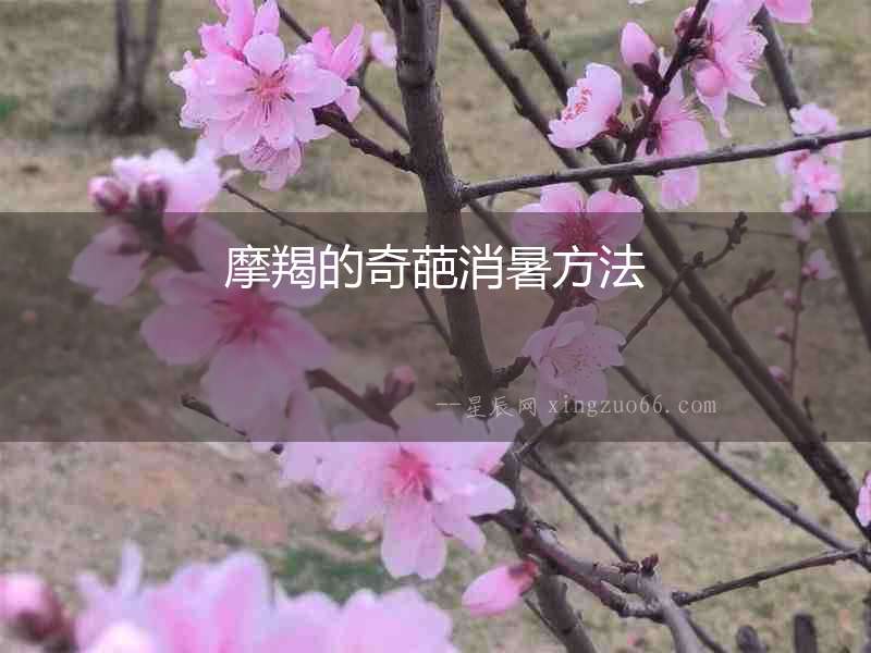 摩羯的奇葩消暑方法