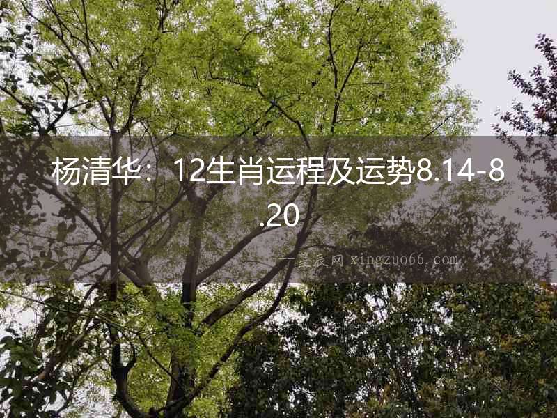 楊清華：12生肖運程及運勢8.14-8.20