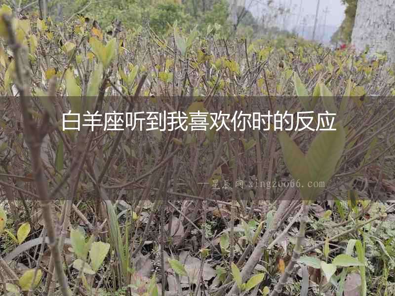 白羊座聽到我喜歡你時的反應