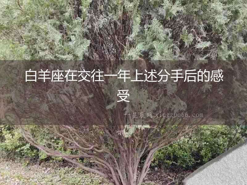 白羊座在交往一年上述分手后的感受