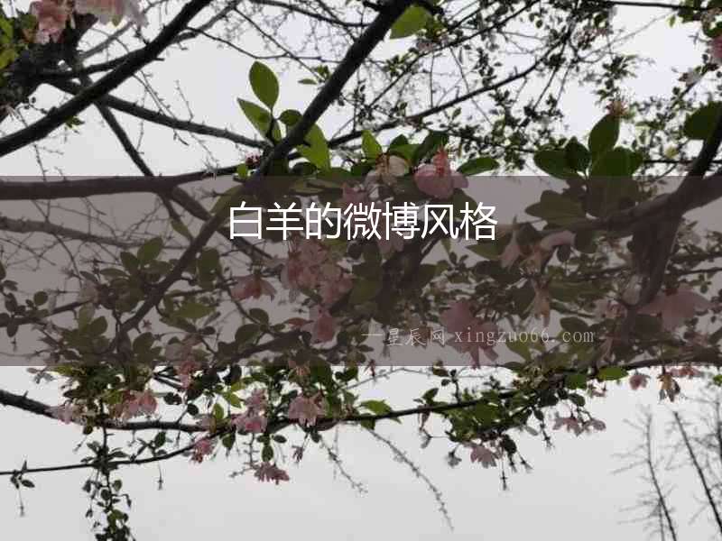 白羊的微博風格