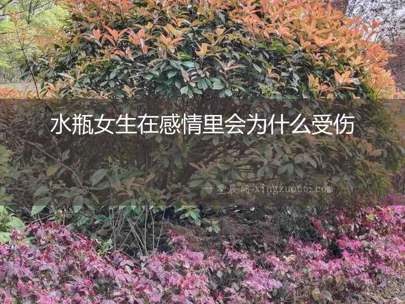 水瓶女生在感情里會為什么受傷