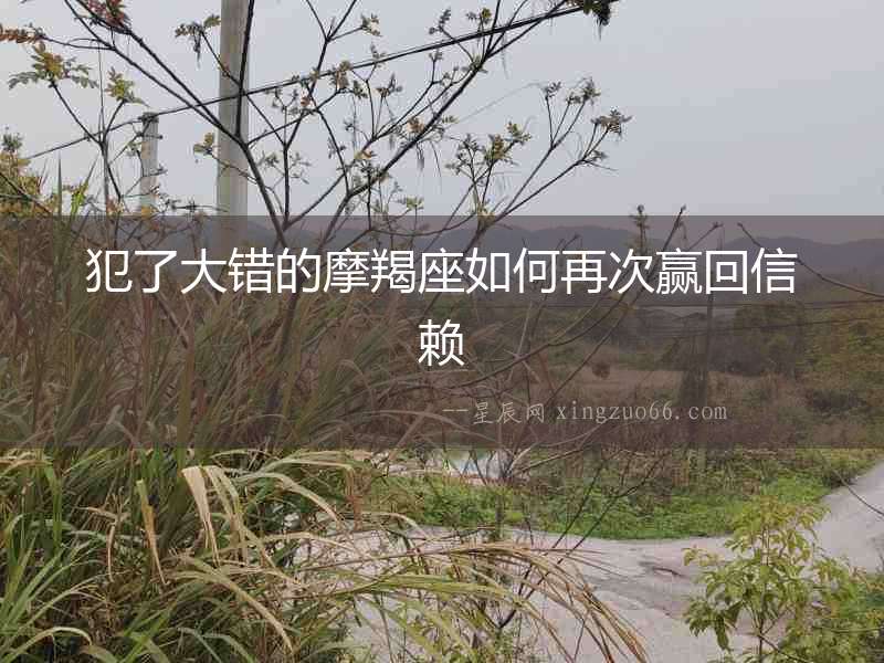 犯了大錯的摩羯座如何再次贏回信賴