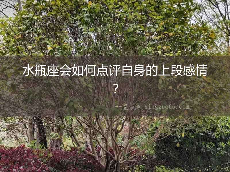 水瓶座會如何點評自身的上段感情？