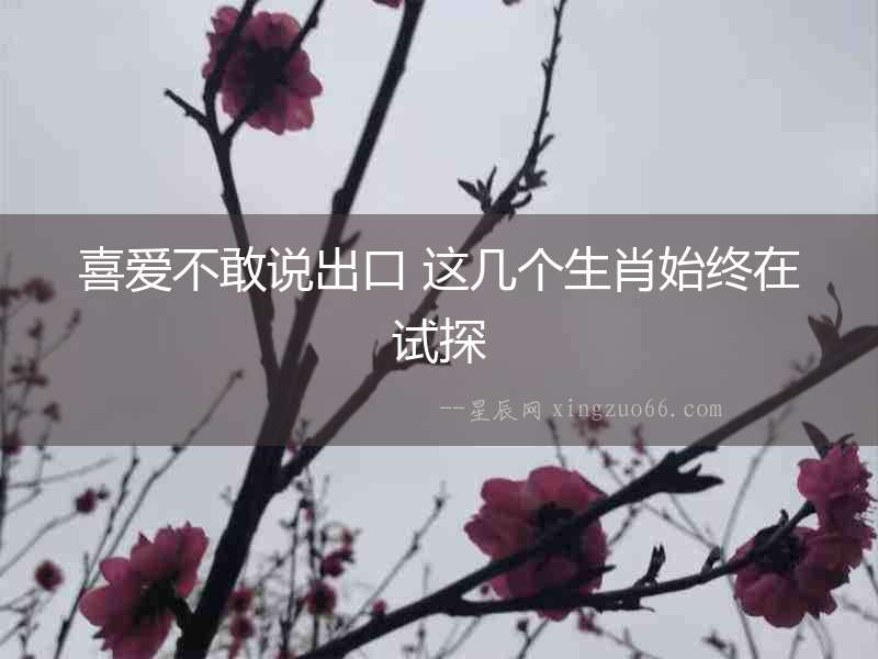 喜愛不敢說出口 這幾個(gè)生肖始終在試探
