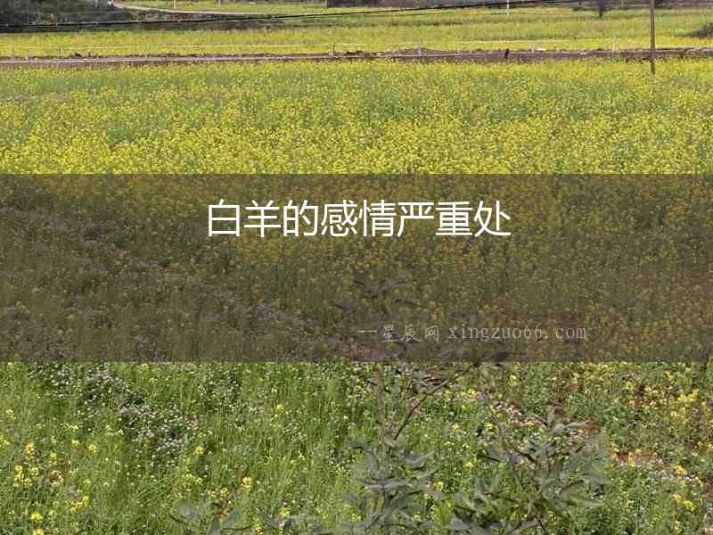 白羊的感情嚴重處