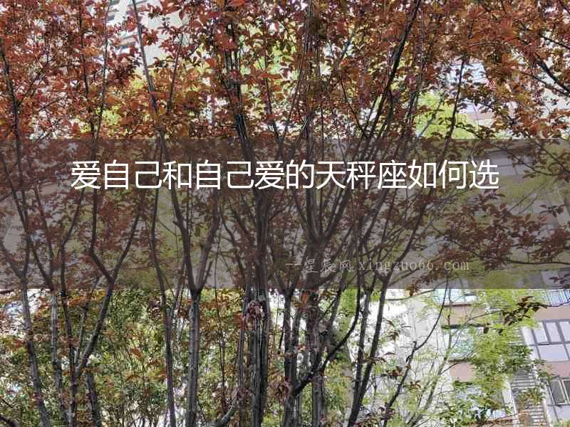 愛(ài)自己和自己愛(ài)的天秤座如何選