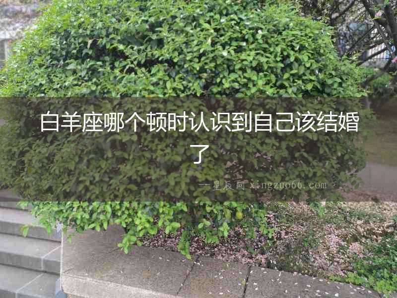 白羊座哪個頓時認(rèn)識到自己該結(jié)婚了