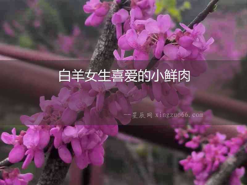白羊女生喜愛的小鮮肉