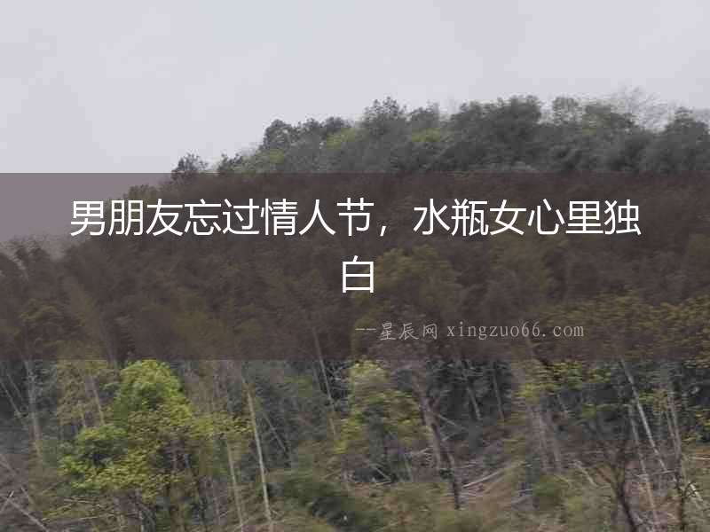男朋友忘過情人節(jié)，水瓶女心里獨白