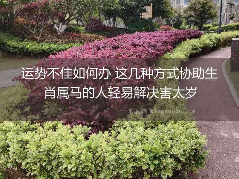 運勢不佳如何辦 這幾種方式協助生肖屬馬的人輕易解決害太歲