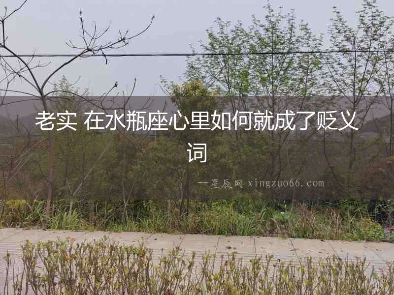 老實 在水瓶座心里如何就成了貶義詞
