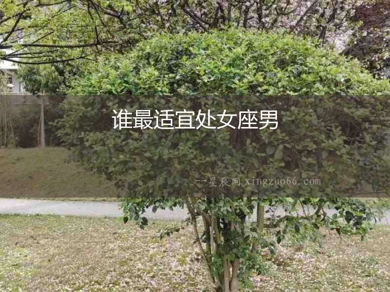 誰最適宜處女座男