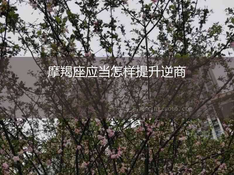 摩羯座應當怎樣提升逆商