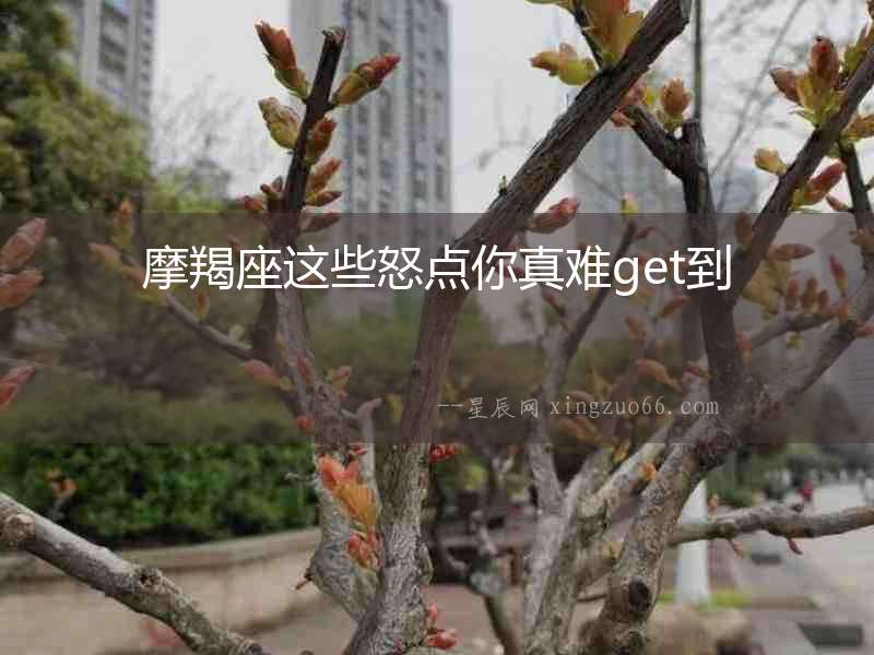 摩羯座這些怒點你真難get到