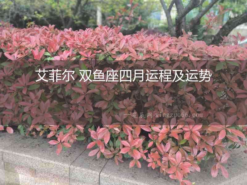 艾菲爾 雙魚座四月運程及運勢