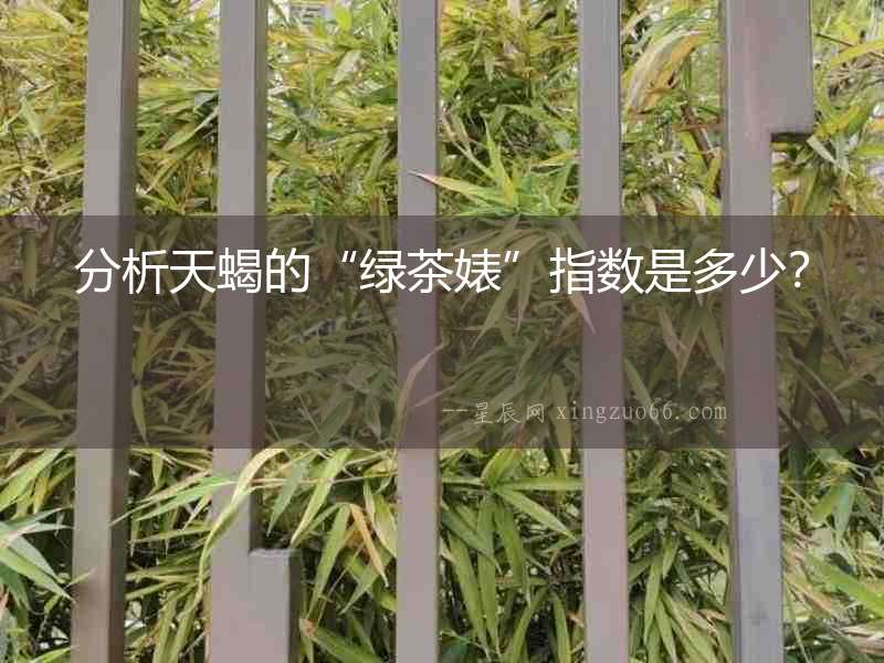 分析天蝎的“綠茶婊”指數是多少？
