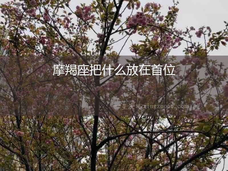 摩羯座把什么放在首位
