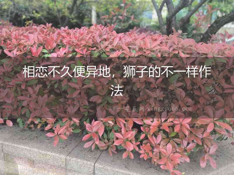 相戀不久便異地，獅子的不一樣作法