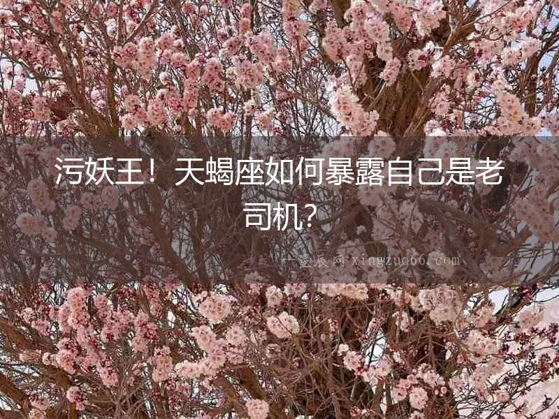 污妖王！天蝎座如何暴露自己是老司機？