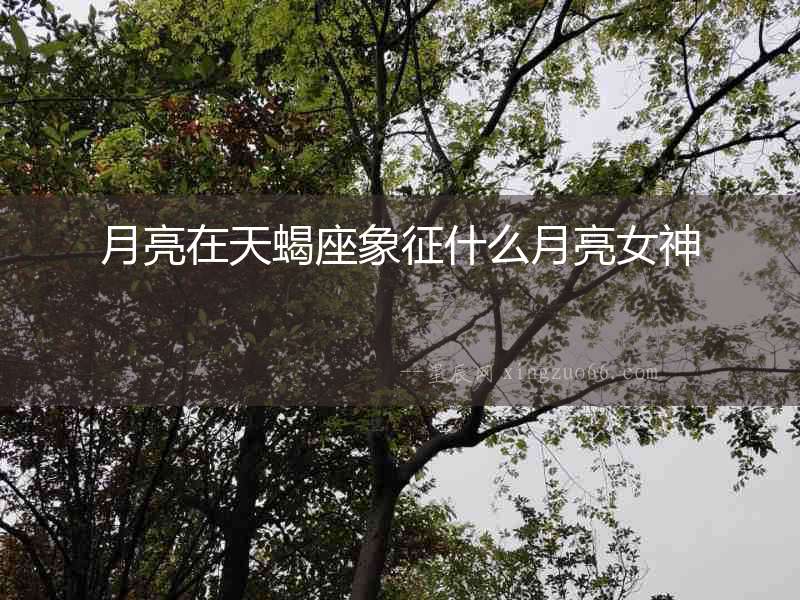 月亮在天蝎座象征什么月亮女神