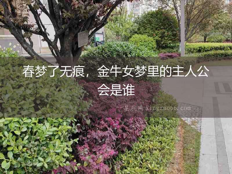 春夢了無痕，金牛女夢里的主人公會是誰