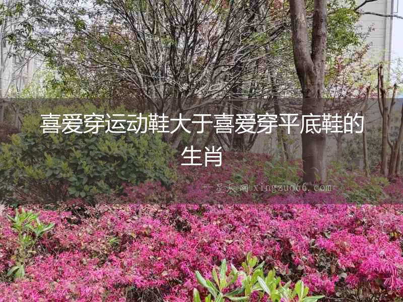 喜愛穿運動鞋大于喜愛穿平底鞋的生肖