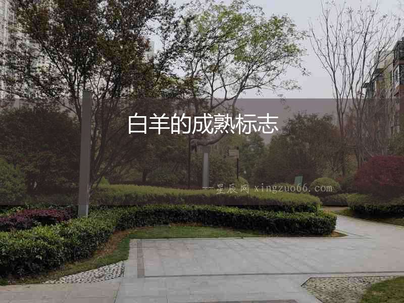 白羊的成熟標志