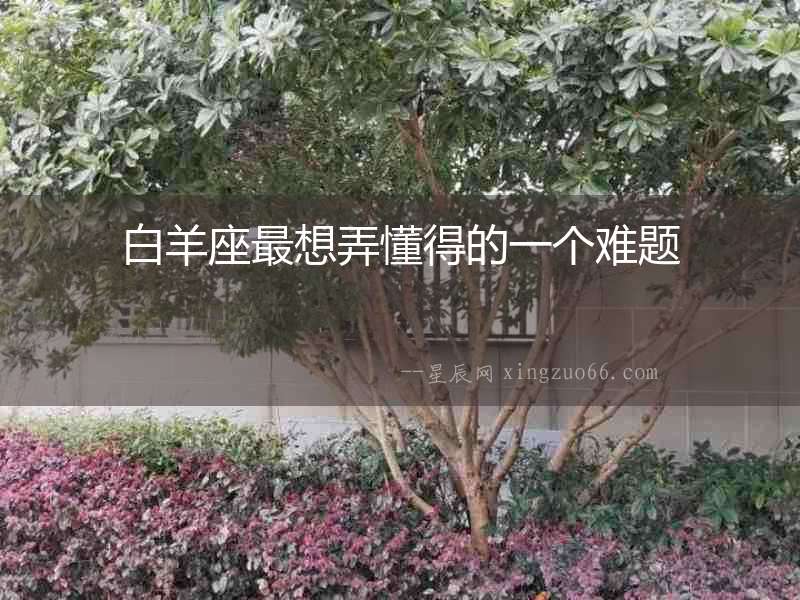 白羊座最想弄懂得的一個難題