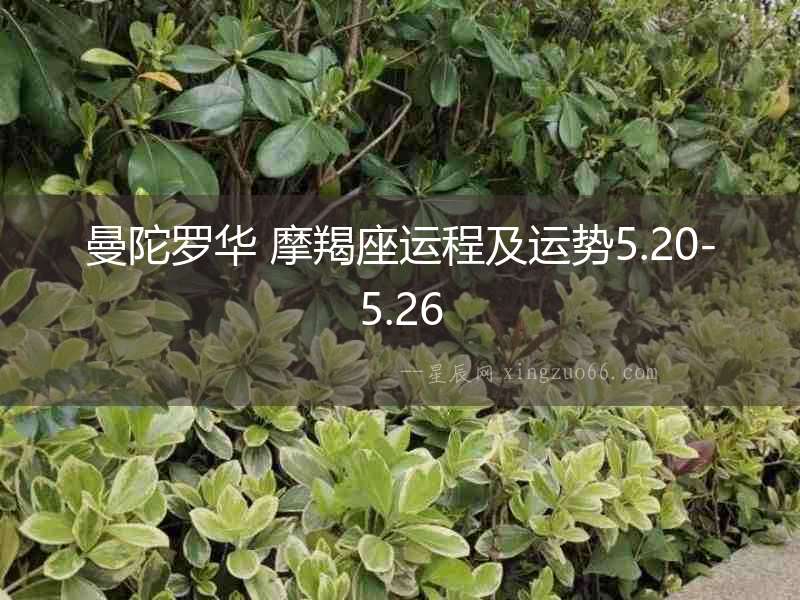 曼陀羅華 摩羯座運程及運勢5.20-5.26