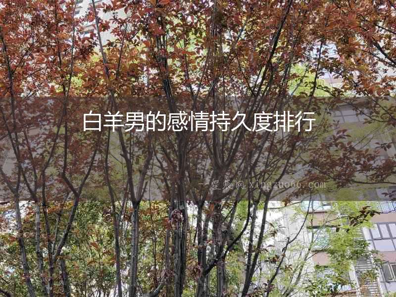 白羊男的感情持久度排行