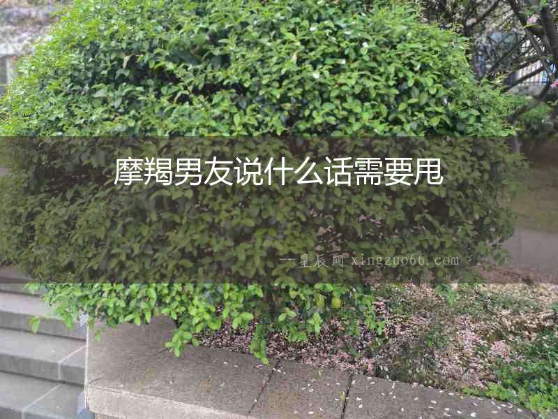 摩羯男友說什么話需要甩