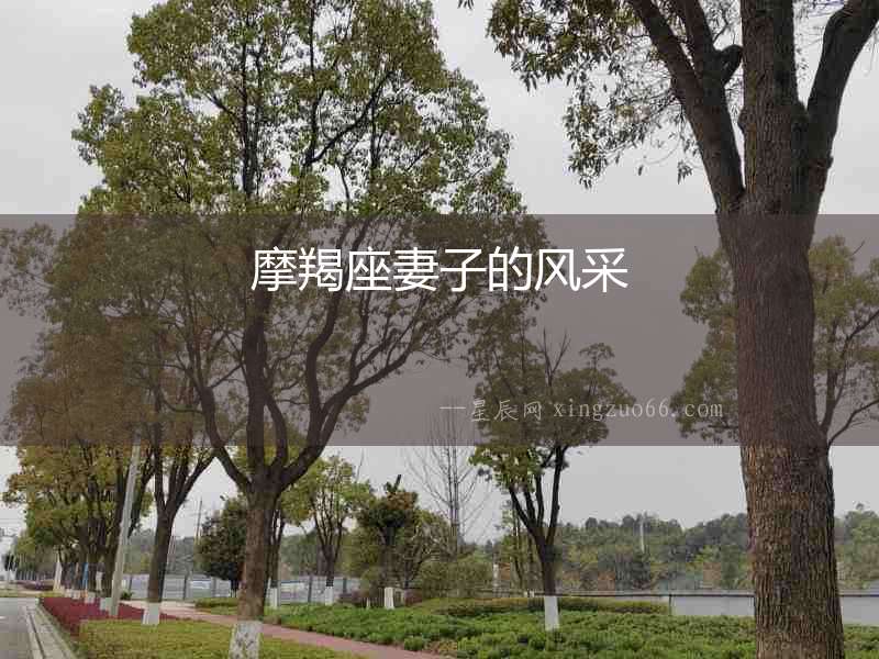 摩羯座妻子的風采