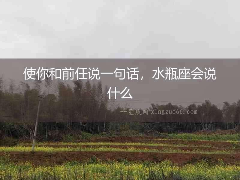 使你和前任說一句話，水瓶座會說什么