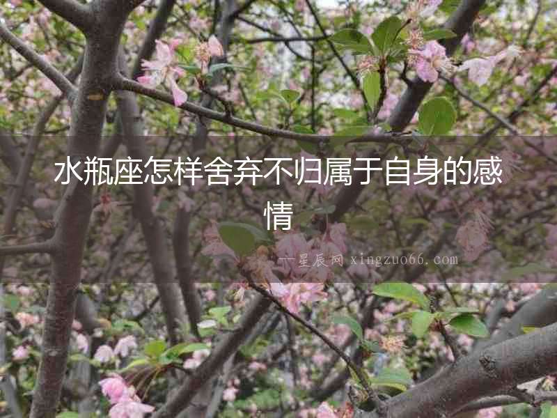 水瓶座怎樣舍棄不歸屬于自身的感情