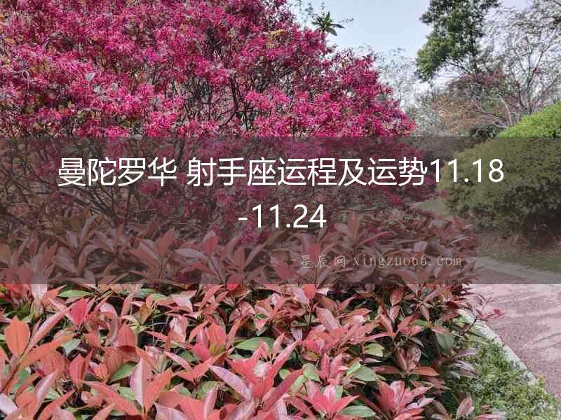 曼陀羅華 射手座運程及運勢11.18-11.24