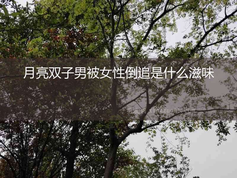 月亮雙子男被女性倒追是什么滋味