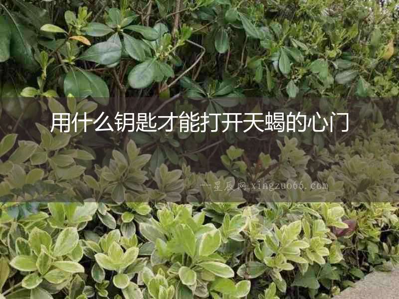 用什么鑰匙才能打開(kāi)天蝎的心門