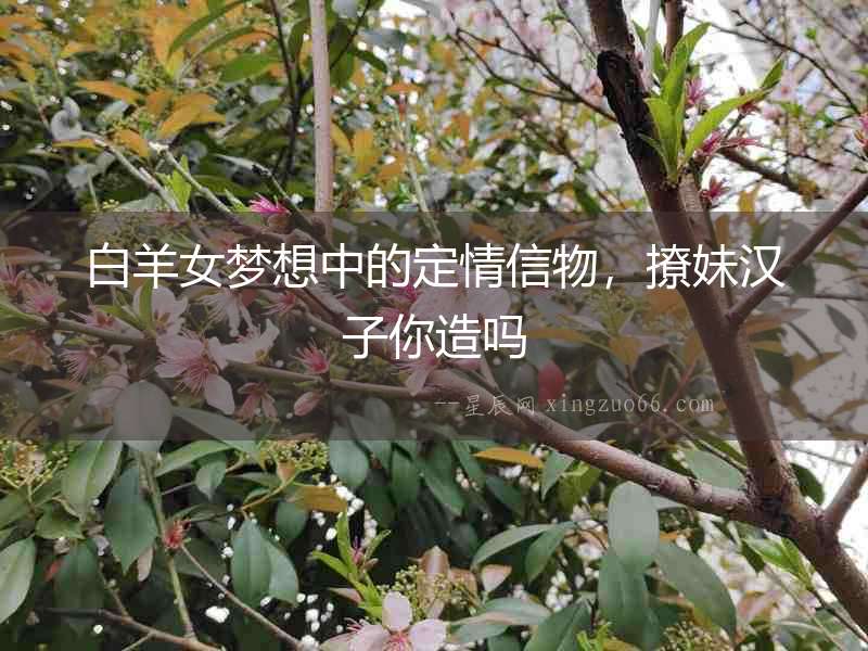 白羊女夢想中的定情信物，撩妹漢子你造嗎