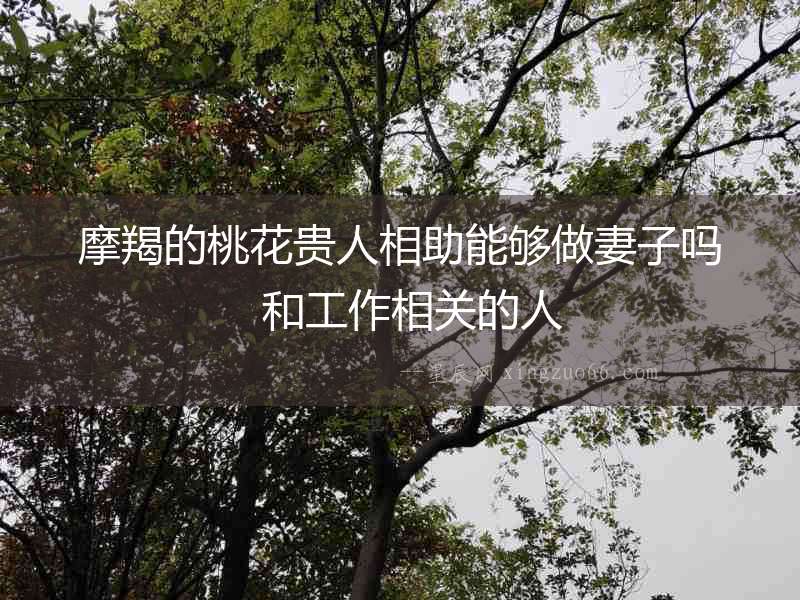 摩羯的桃花貴人相助能夠做妻子嗎  和工作相關(guān)的人