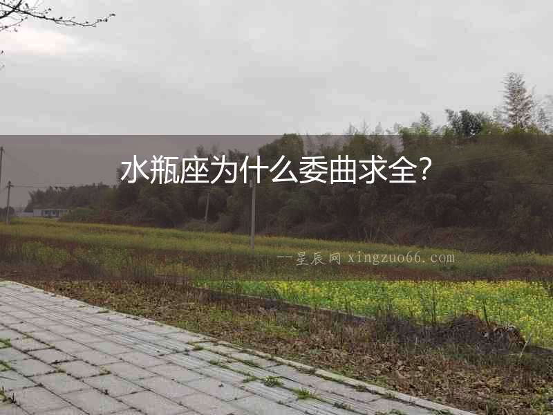 水瓶座為什么委曲求全？